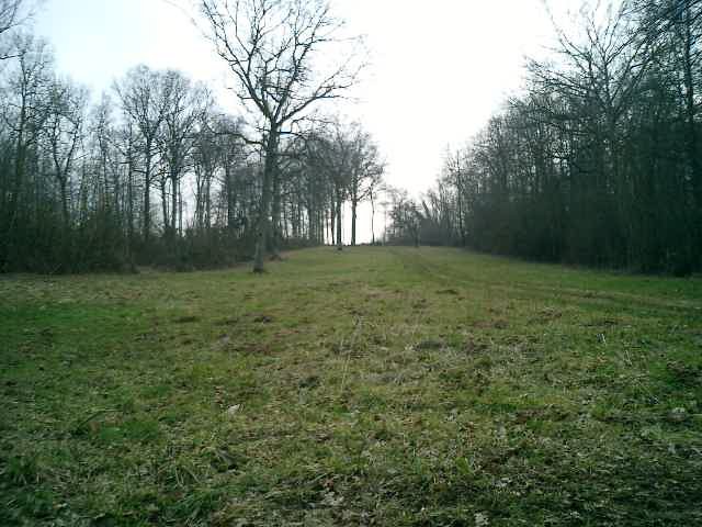 Location.