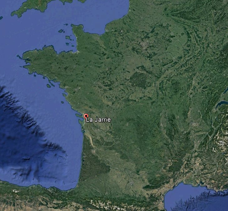Carte.