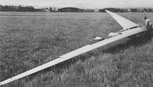 Horten Ho11