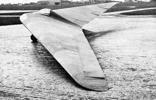 Horten Ho3b.
