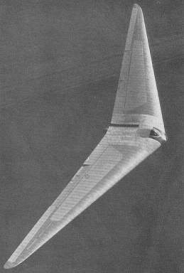 Horten Ho3f.