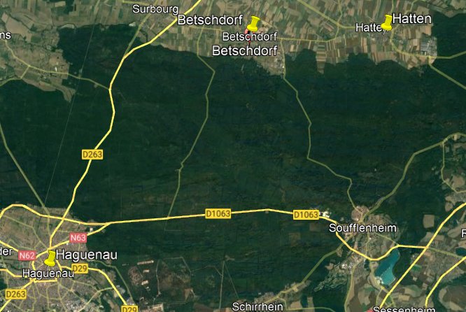 Carte.