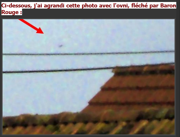 Scan.