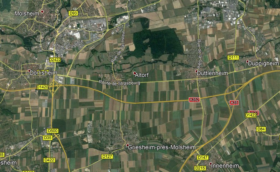 Carte.