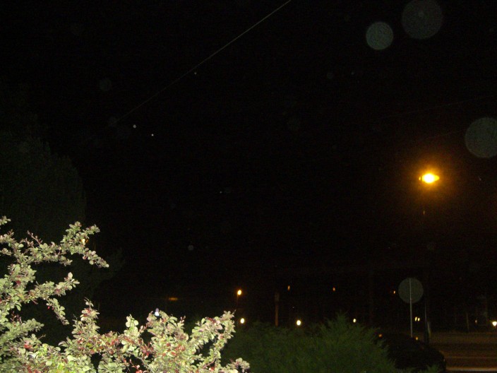 Orbes.