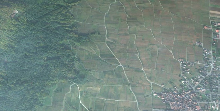 Carte.