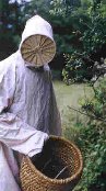 Beekeeper