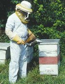 Beekeeper