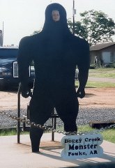 Fouke Monster