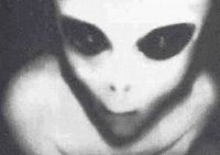 Pas une photo