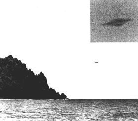 1st Photograph by Barauna