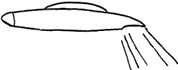 Captain Coyne's drawing