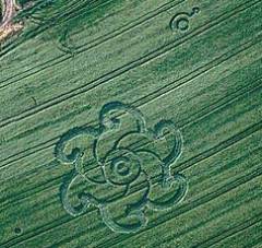 Photographie de Crop Circle.