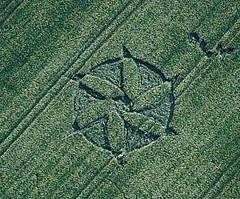 Photographie de Crop Circle.